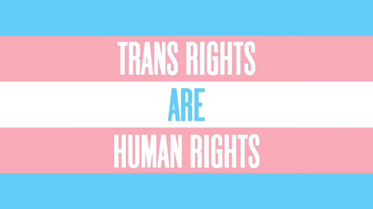 Image result for trans rights are human rights